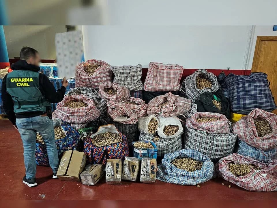 Three Arrested in Spain Over Mail Shipments of Opium Poppy; More Than 1,160 lbs Seized