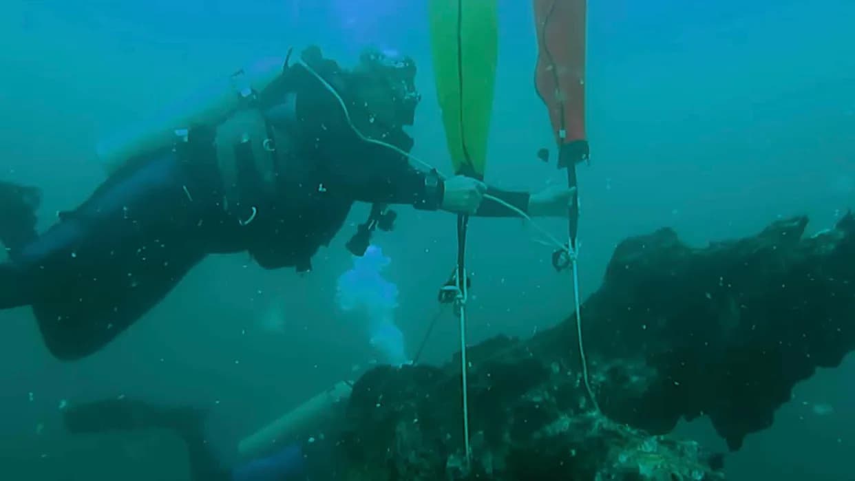 Ancient Submerged Cypress Forest Reveals Sudden Die-Off — A Warning for Modern Coasts