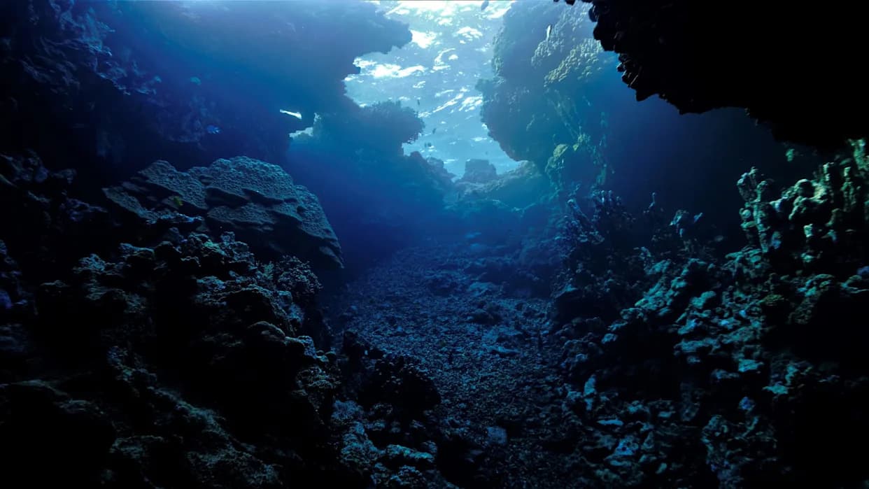 Scientists Use Satellite Hyperspectral Data to Map Microplastic Hotspots Threatening Seafood