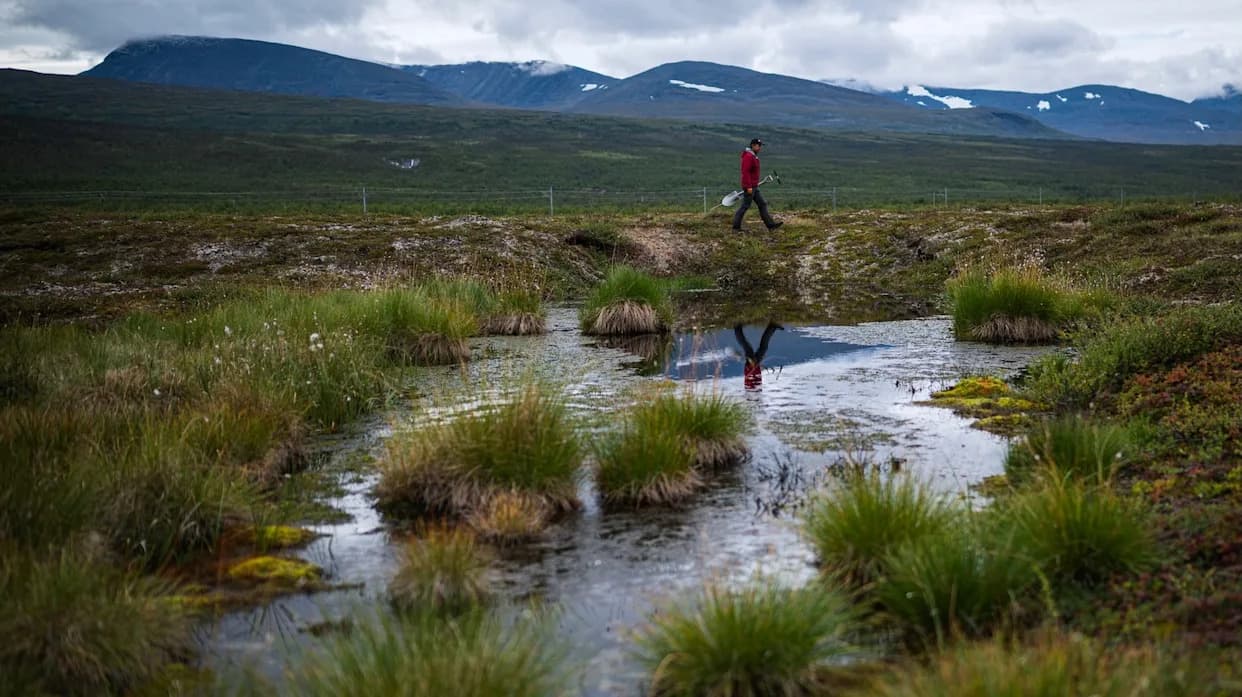 Greening Arctic Could Kick-Start a Dangerous Peat–Carbon Feedback Loop