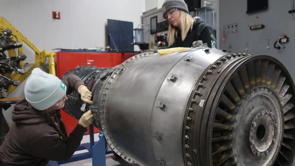 Aviation Staff Shortages, Cat Controversy and Rising Young Readers — Today’s Top Stories