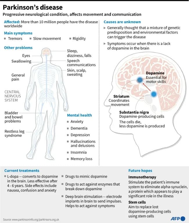 Japan Approves World-First iPS Stem-Cell Therapies For Parkinson’s And Severe Heart Failure