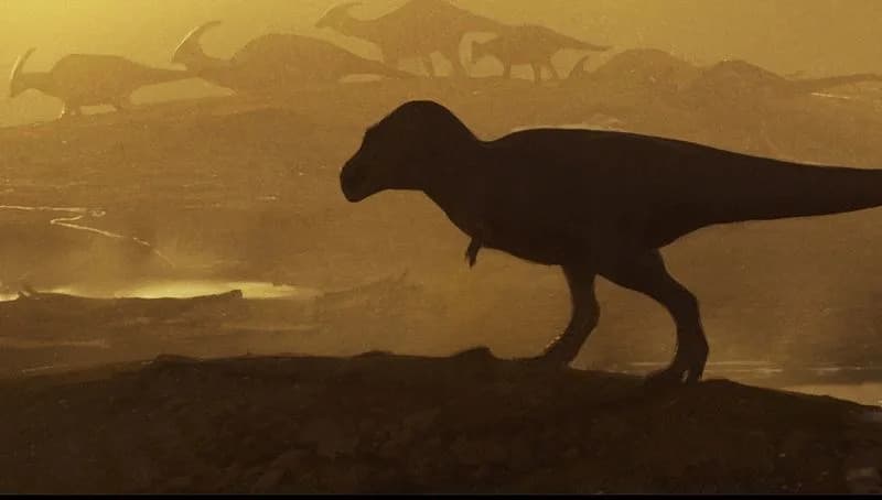 Large New Mexico Shinbone May Belong To A Close Relative — Possibly An Ancestor — Of T. rex