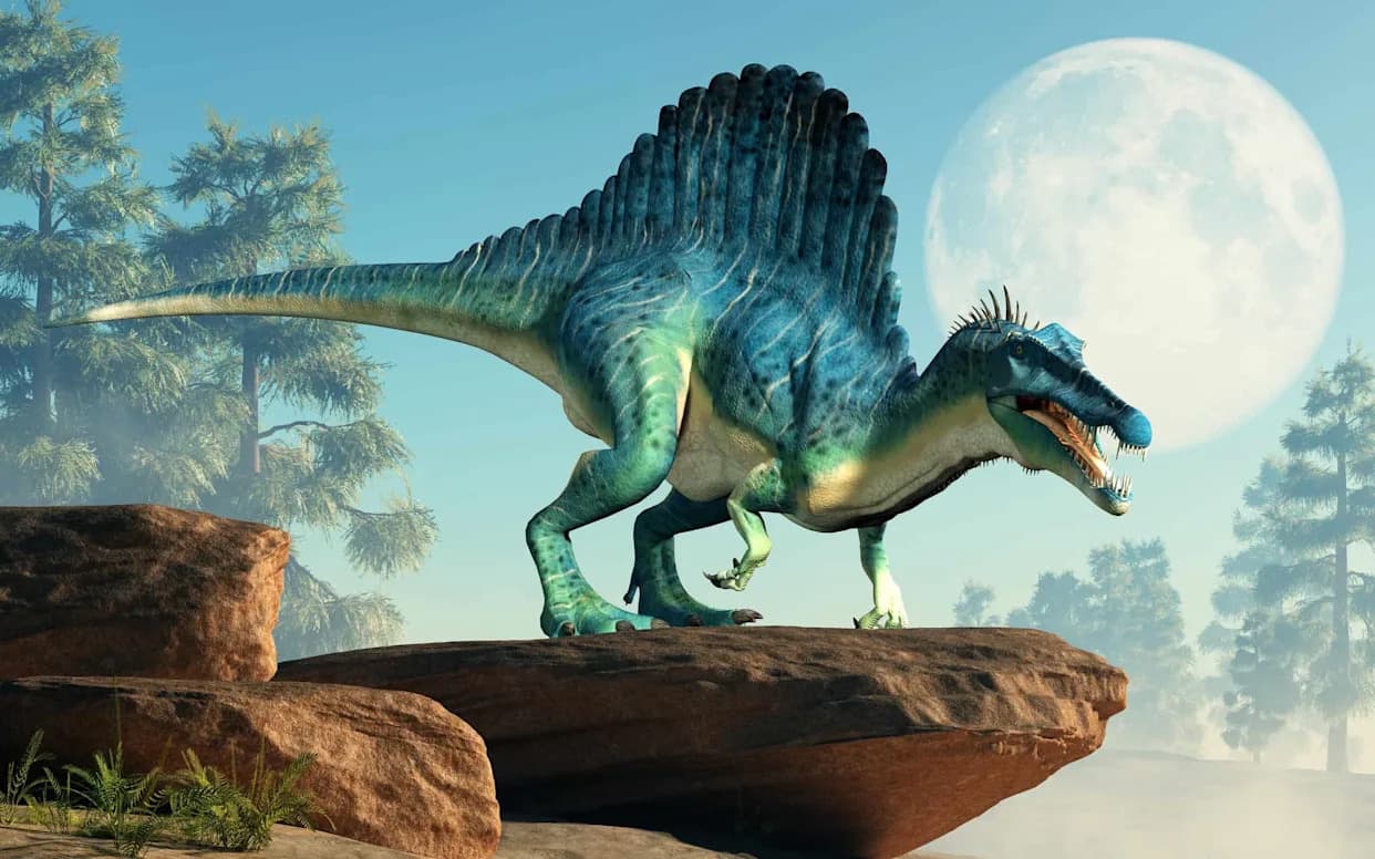 Meet Istiorachis macarthurae — A New 18‑Foot Sail‑Backed Dinosaur From the Isle of Wight