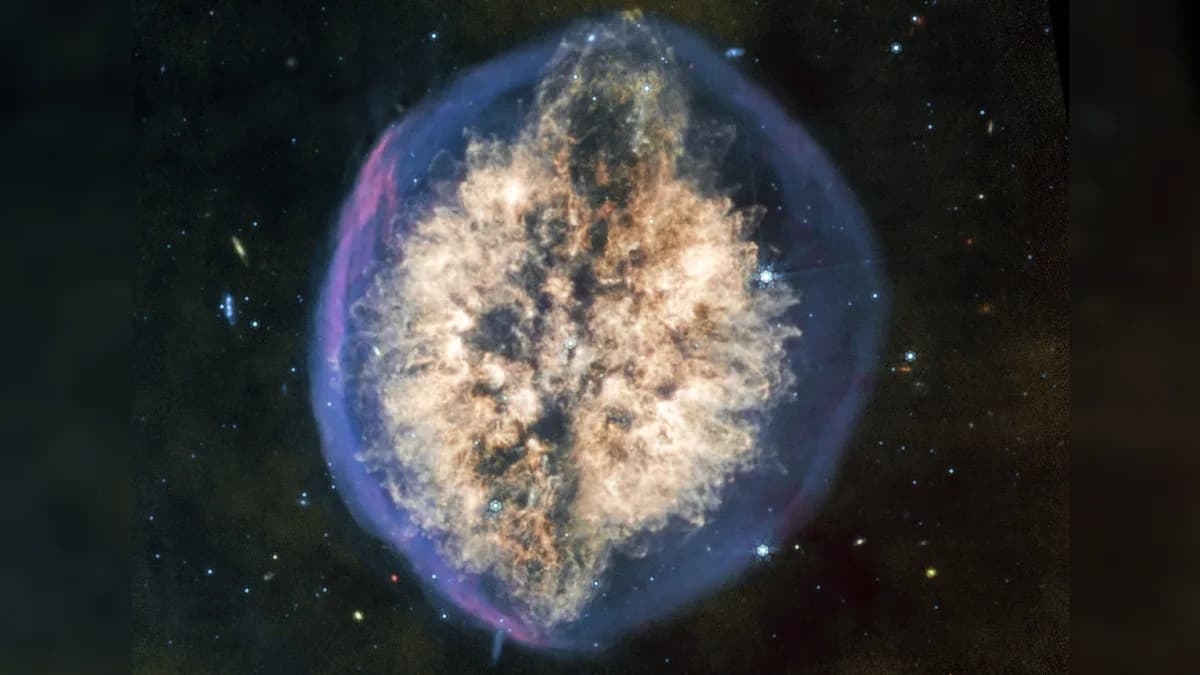 JWST Reveals PMR 1: The ‘Exposed Cranium’ Nebula That Looks Like a Giant Brain