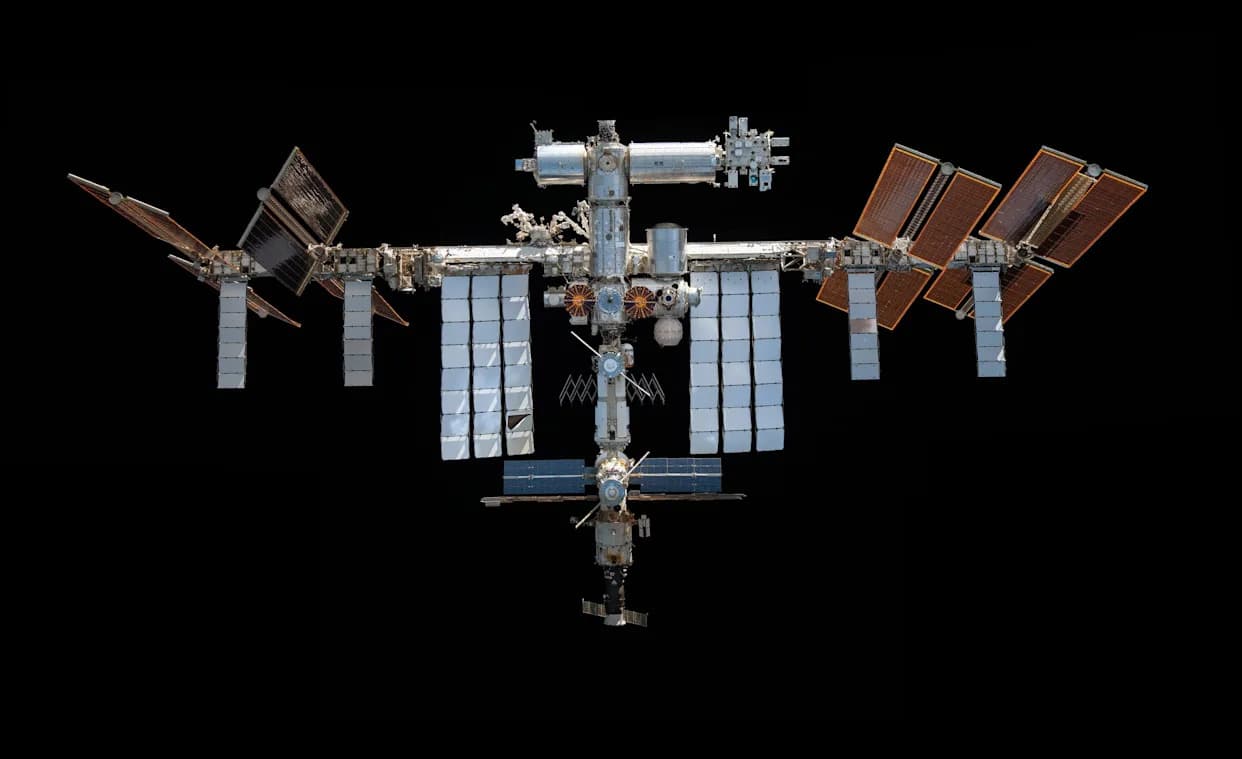 Orbiting Mice Reveal 0.67g Gravity Threshold That Preserves Muscle Health — Implications for Mars