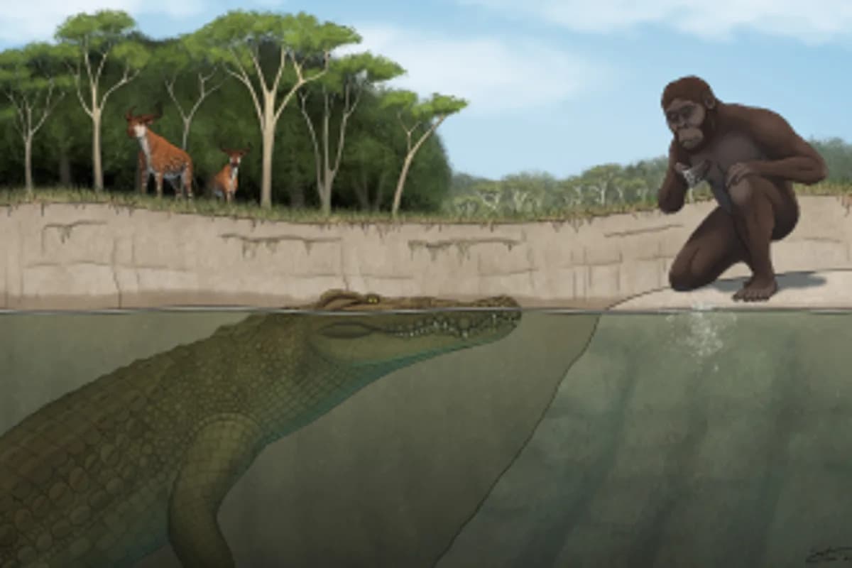Newly Described 'Lucy's Hunter' — A Half‑Tonne, 15‑Foot Prehistoric Crocodile Found in Ethiopia