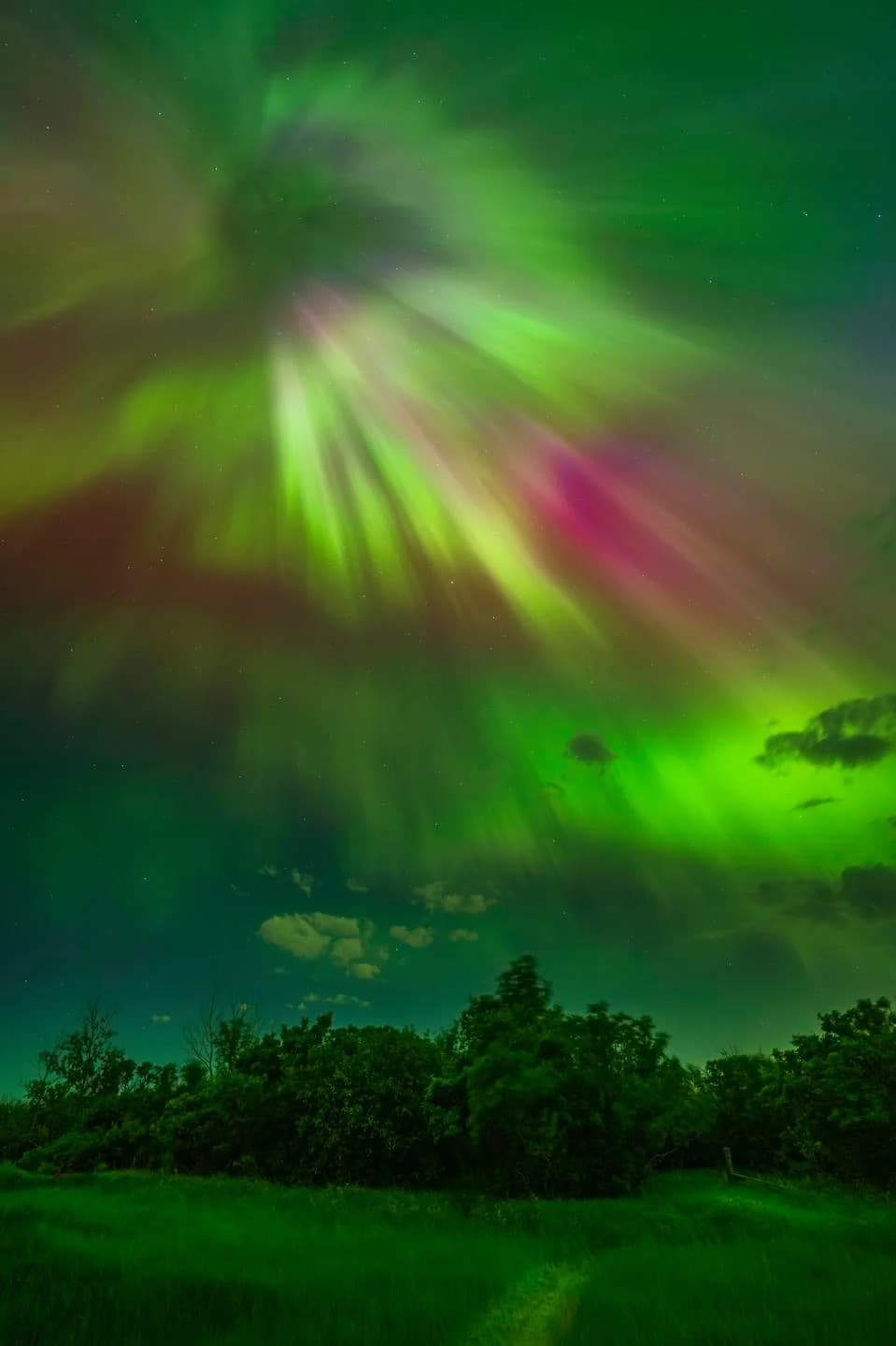 Northern Lights Alert: NOAA Says Aurora May Be Visible Across 10 US States March 14–15