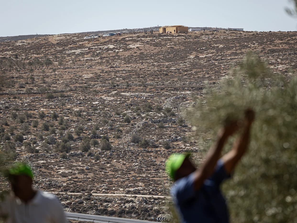 Settler Attacks in West Bank Kill 28-Year-Old, Injure Several and Seize Over 100 Sheep