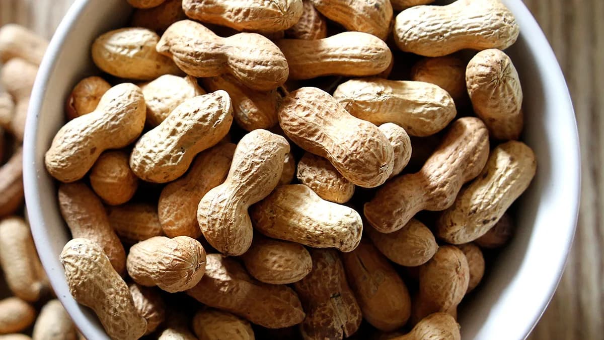 From Peanut Shells to Graphene: UNSW Turns Agricultural Waste Into High‑Value Carbon