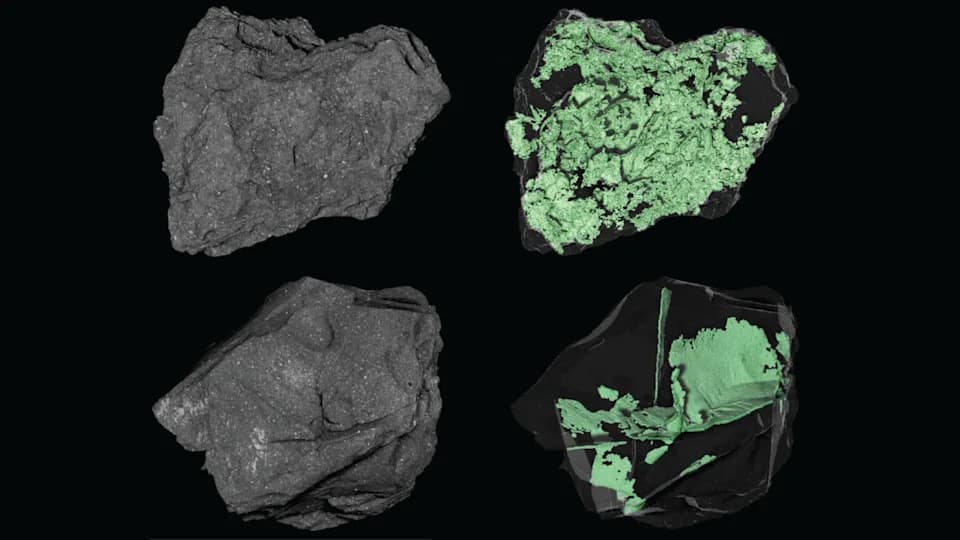 X-Ray Scans Reveal Bennu Particles Riddled With Fine Cracks — Clues to Low Thermal Inertia