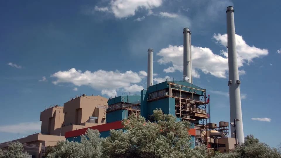 Polluting Power Plants, Longevity Tips, ‘Hell Heron’: Catch Up on Today’s Top Stories