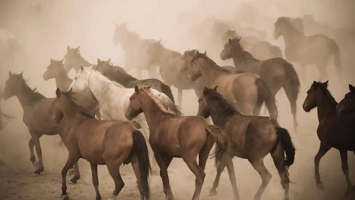 When the Plains Turned to Dust: How the Dust Bowl Devastated America’s Wildlife