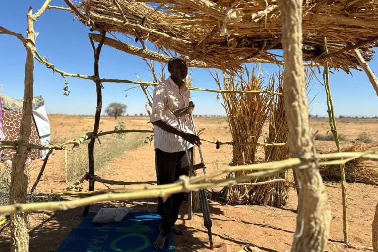 Survivors Describe Brutal RSF Detention Network in El-Fasher: ‘They Killed Us Like Animals’