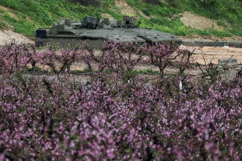 Israeli Avocado Farmer Killed by Friendly Fire Near Lebanon, Military Says