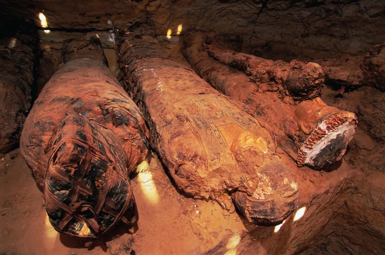 Why Do Mummies Smell 'Spicy' or 'Woody'? Ancient Balms and Millennia of Chemistry