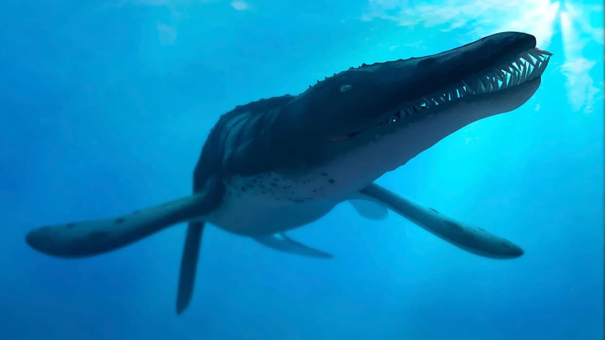 What Made the “Bloop”? The True Story Behind the 1997 Undersea Mystery