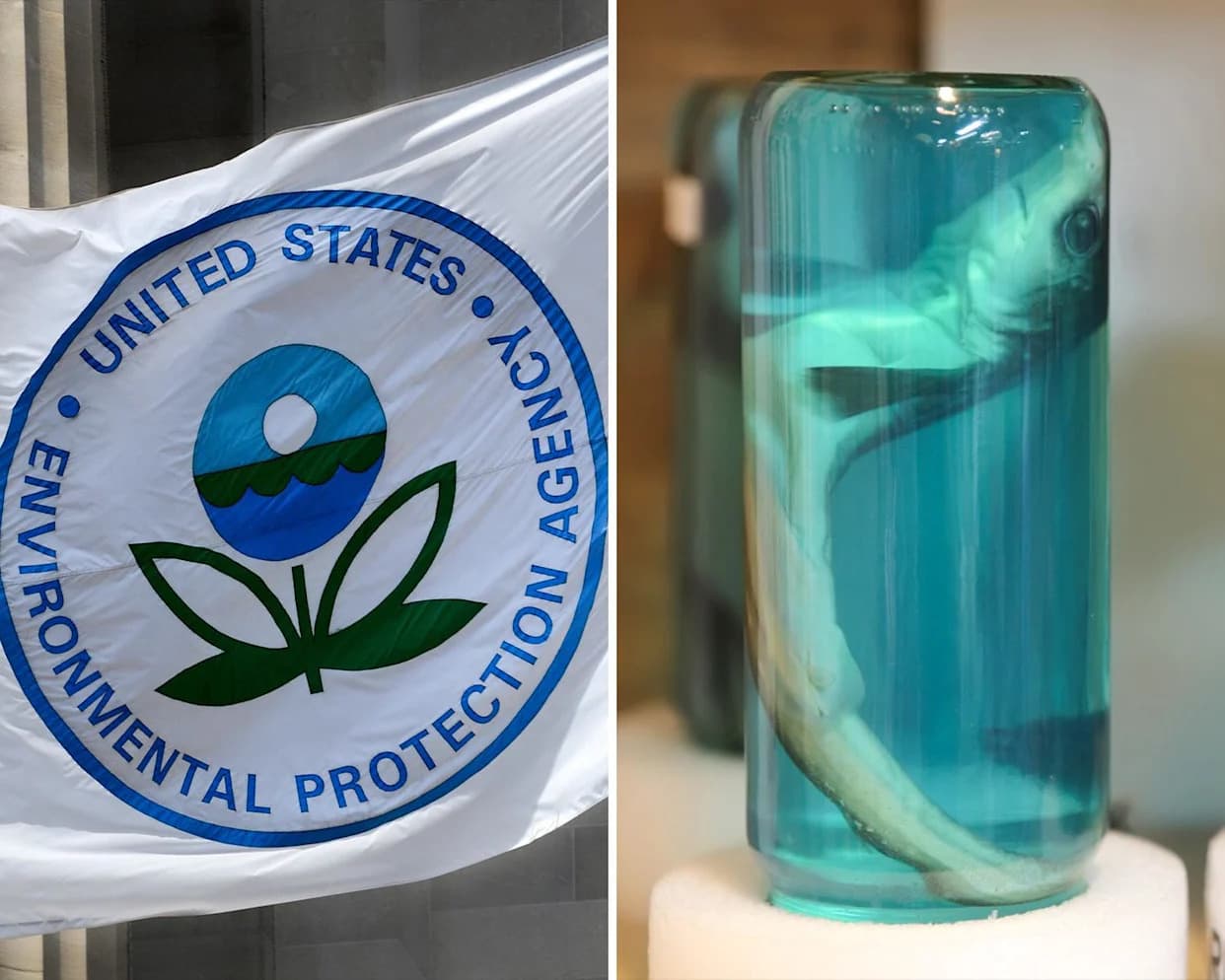 Documents Reveal Trump-Era EPA Relied On Industry Science To Weaken Formaldehyde Cancer Protections