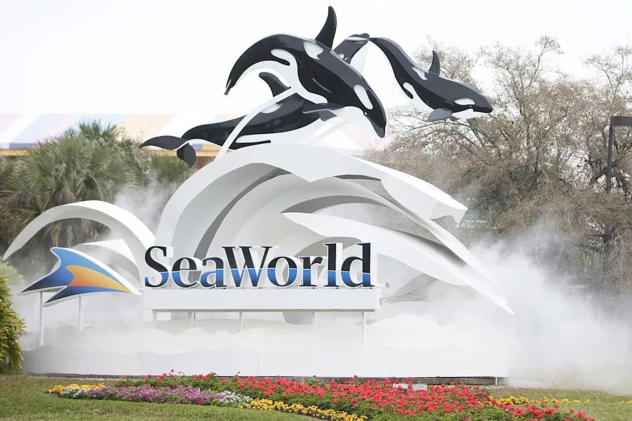 DOJ Sues SeaWorld Parent, Alleges 'Wheeled Walker' Ban Discriminates Against Disabled Visitors