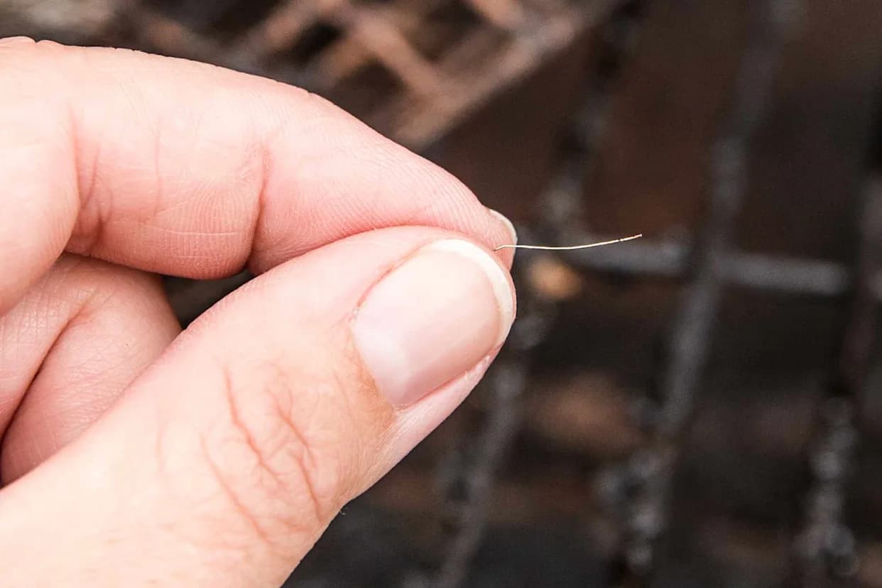 Nexgrill Recalls About 10.2 Million Metal-Bristle Grill Brushes After Reports of Swallowed Bristles