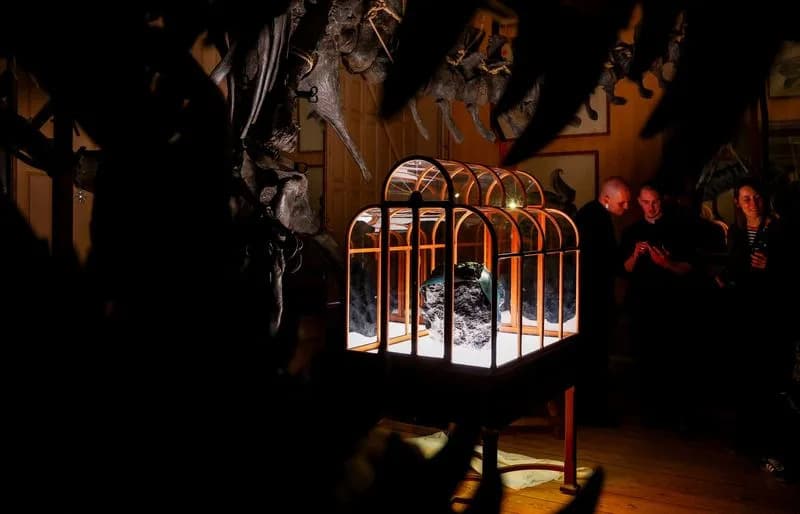 T. Rex Collagen Handbag Unveiled in Amsterdam — A Provocative Showcase of Lab-Grown Leather