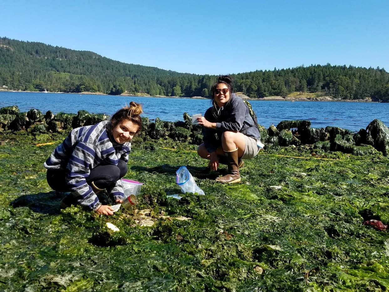 Braiding Knowledge: How Indigenous Expertise and Western Science Are Rebuilding Food Systems and Shorelines