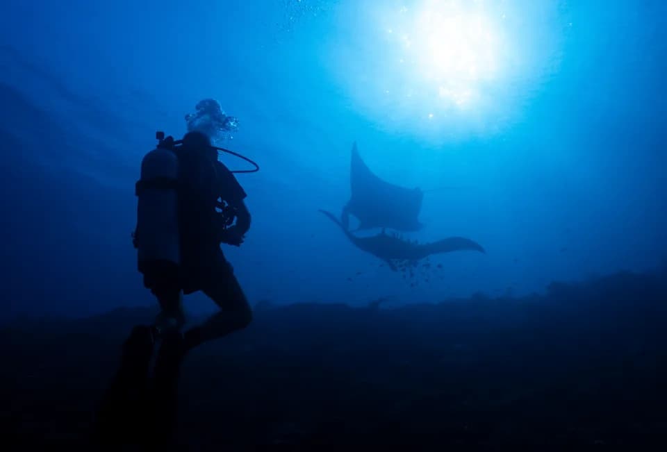 Raja Ampat at a Crossroads: Conservation Wins Threatened by Nickel Mining and Tourism Boom
