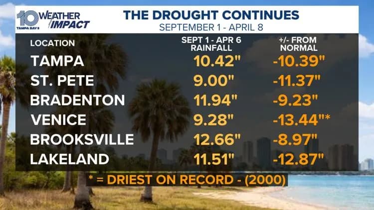 St. Petersburg Records Driest Year — Florida Faces Most Widespread Drought Since 2012