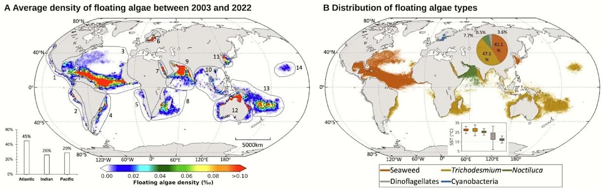 AI and Satellites Reveal Massive Global Algae Blooms Covering Nearly 17 Million Square Miles