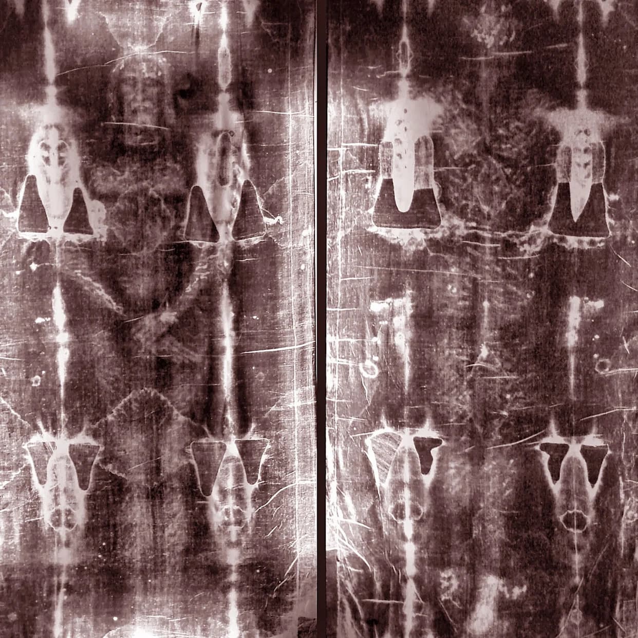 Shroud of Turin DNA Study Sparks Interest but Fails To Prove Origin, Experts Warn