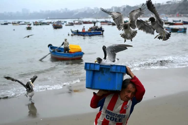 Crime-Weary Peru Heads to Polls — Voters Choose Ninth President in a Decade