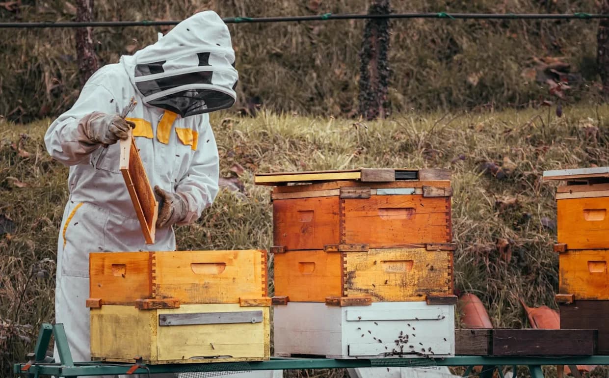 USDA Plans To Close Beltsville 'Bee Lab' Despite Role in 2024–25 Pollinator Die-Offs