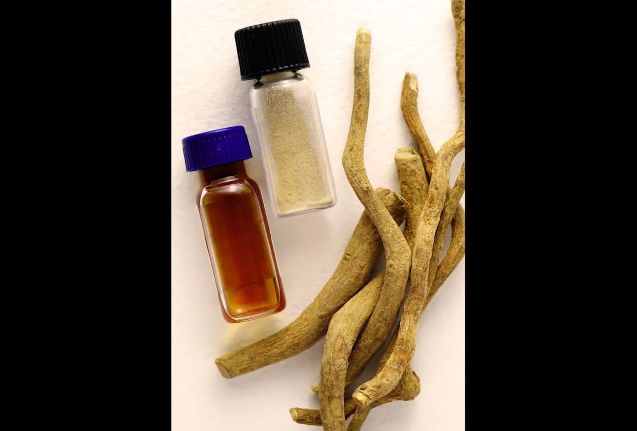 White House Moves To Expand U.S. Research Into Ibogaine for PTSD and Addiction