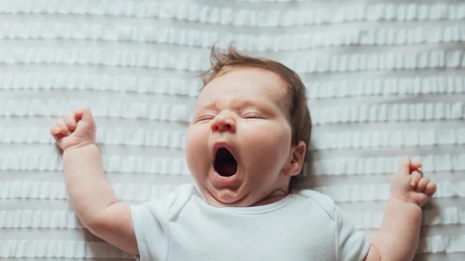 Why We Yawn: Brain Cooling, Alertness, and Contagious Social Signals
