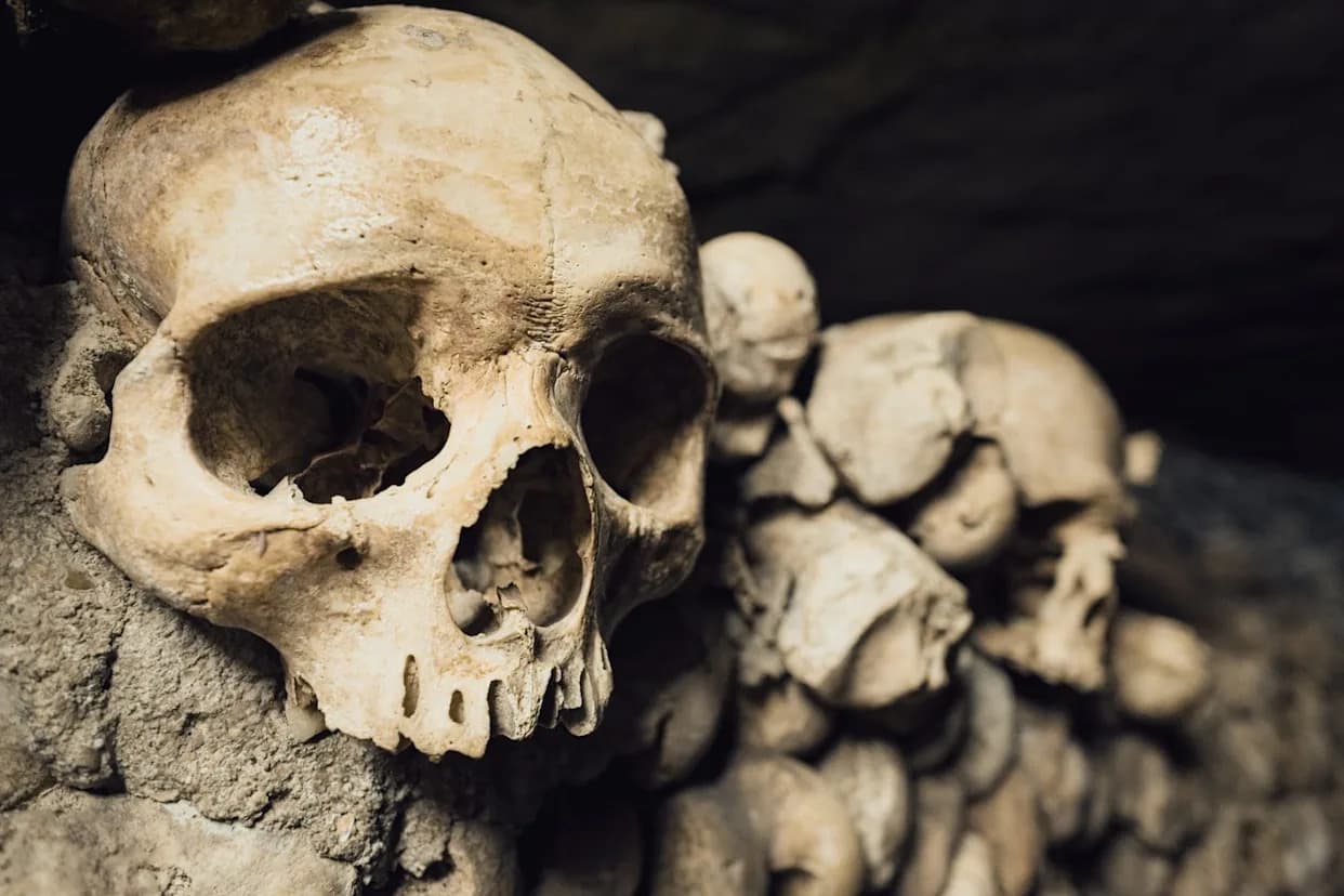 Ancient Bones as Social Currency: How Late Bronze Age Communities Reused the Dead
