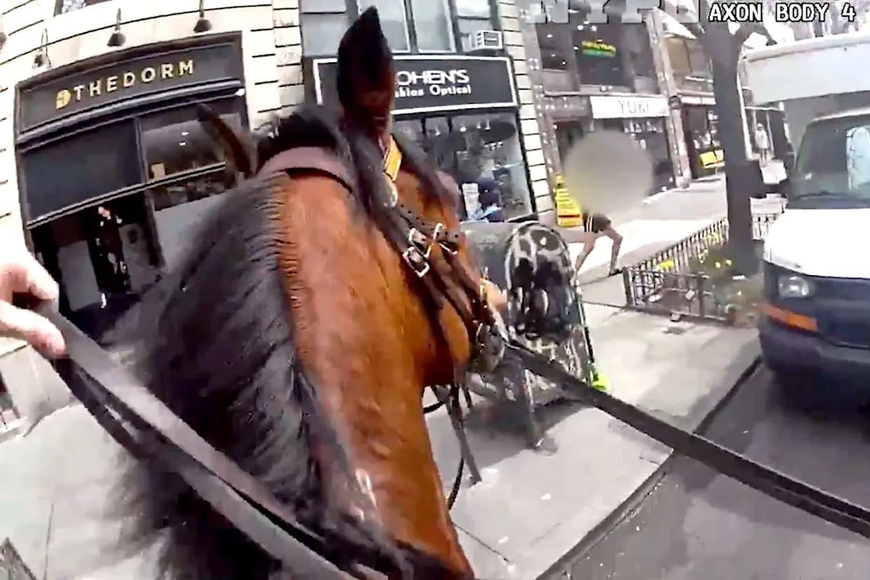 NYPD Mounted Officer Races Through Upper West Side to Apprehend Alleged Purse Snatcher