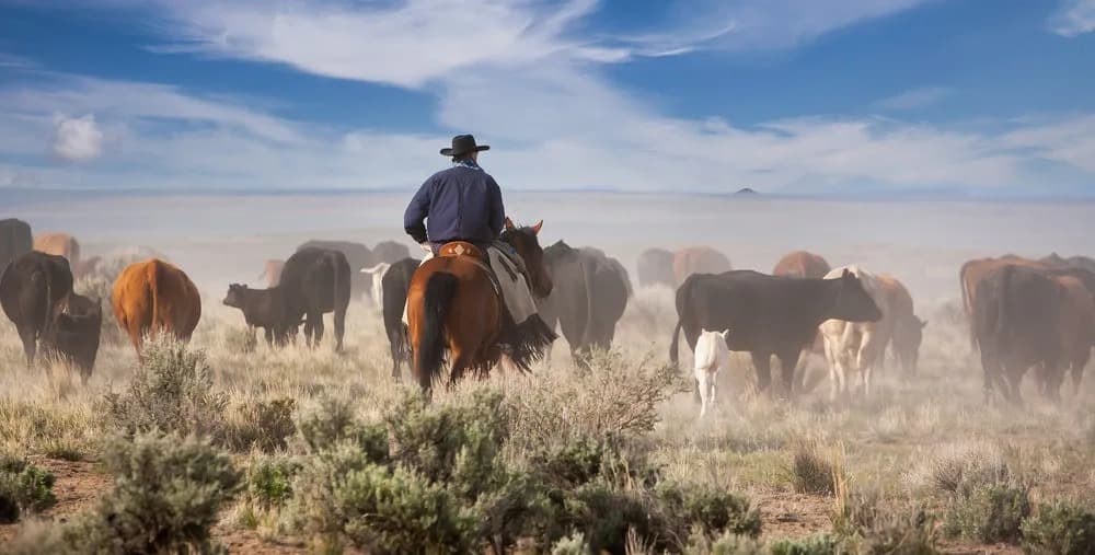 Record Drought and Vanishing Snowpack Put U.S. Farmers on Edge in 2026