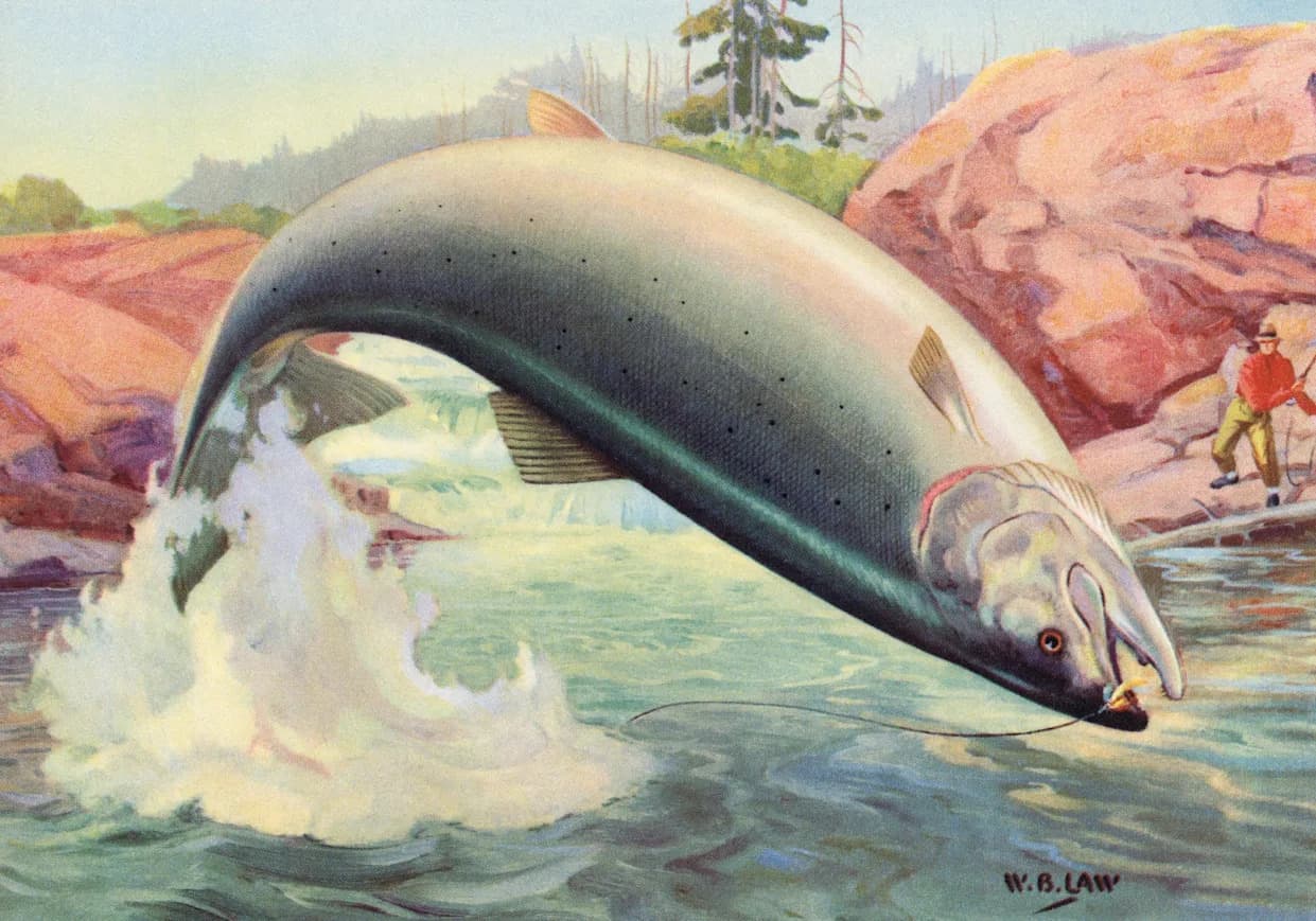 Cocaine Pollution Alters Salmon Behavior — Metabolite Makes Juveniles Swim Farther, Study Finds