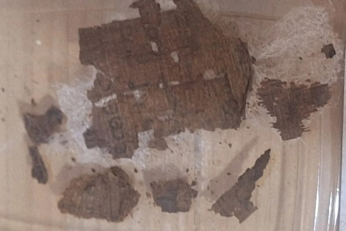 Homer Inside a Mummy: Iliad Papyrus Found in Roman‑Era Egyptian Embalming — A First