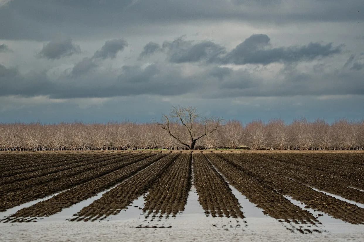 Nearly $15 Billion in U.S. Crop Losses Linked to Extreme Weather — These 10 States Bore the Brunt