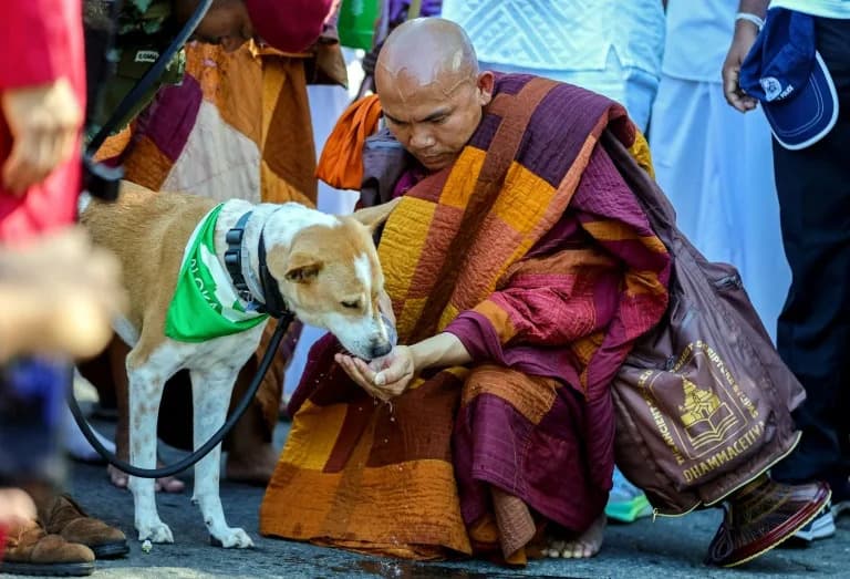 Saffron-Robed Monks and Celebrity Dog Aloka Begin Week-Long Peace Walk to Colombo