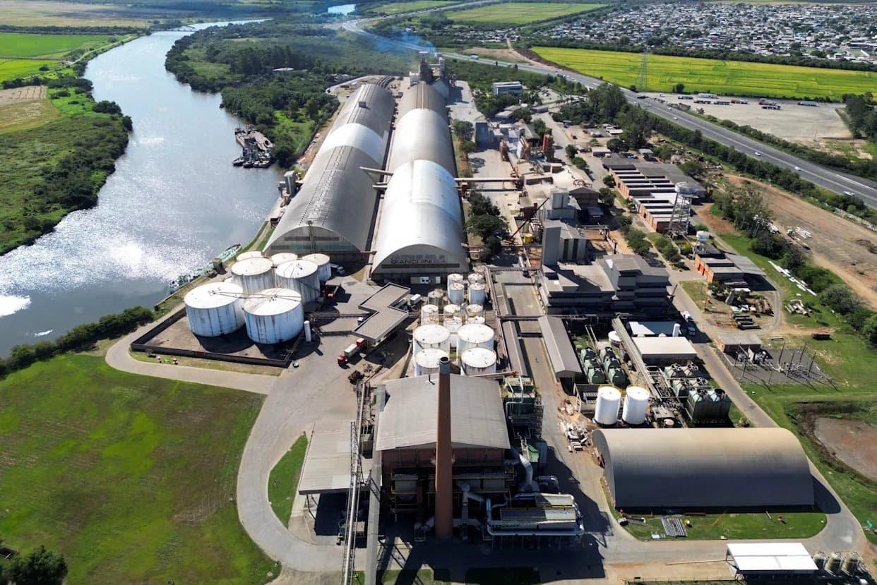 Why Biofuels Are Back in Focus — Promise, Problems, and the Push from Big Oil