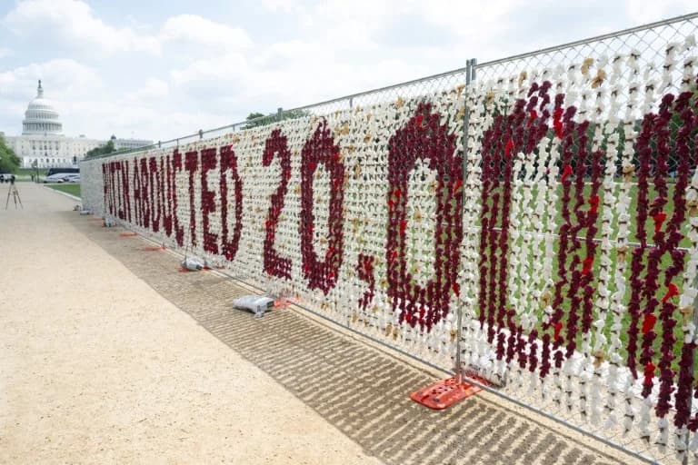 20,000 Teddy Bears Line Fence Near US Capitol to Symbolize Ukrainian Children Kyiv Says Were Taken