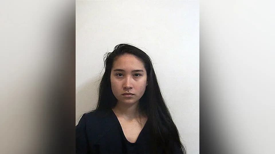 18-Year-Old Charged in Alleged Plot to Attack Houston Synagogue; Two Suspects Remain at Large