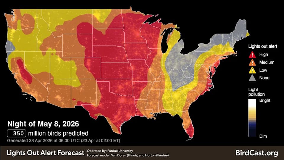 How Darkness Can Help Save Migratory Birds