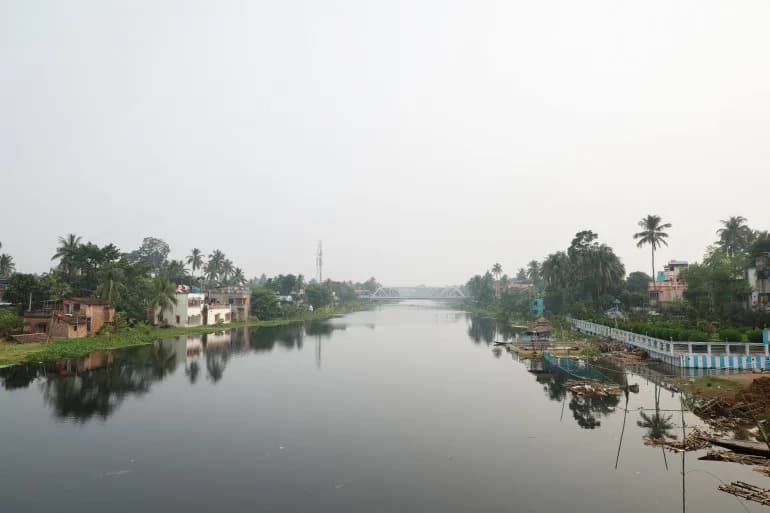 India's Controversial Plan to Use Crocodiles and Snakes Along the Bangladesh Border Sparks Outcry