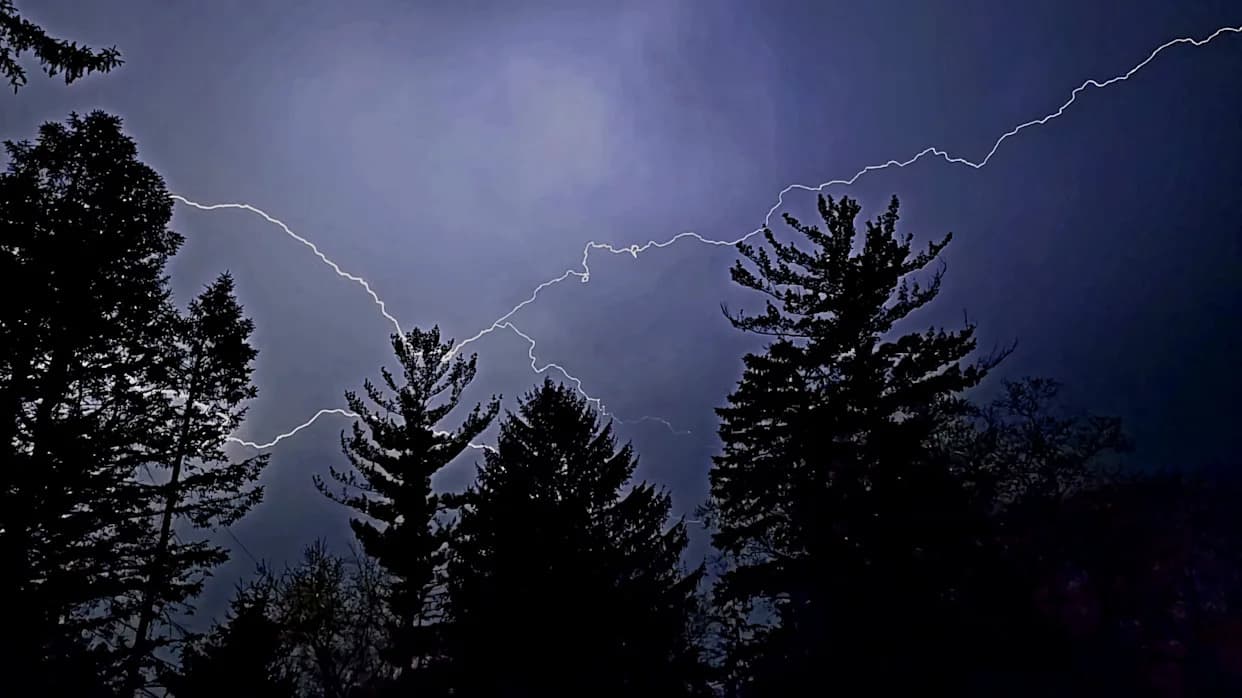 Scientists Filmed Trees Glowing During Storms — First Field Confirmation of Corona Discharges