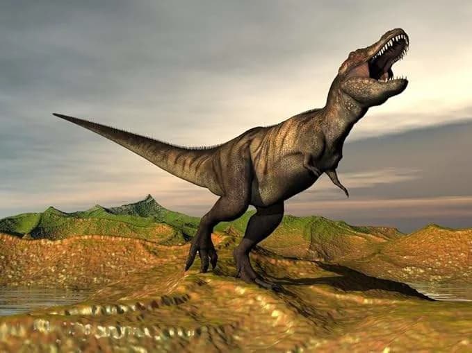 T. rex Walked On Its Toes: New Study Shows a Bird-Like, Toe-First Gait