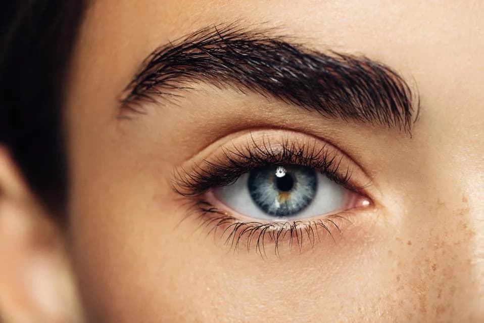 Why Humans Have Eyebrows: How Bones, Behavior and Social Signaling Shaped Our Brows
