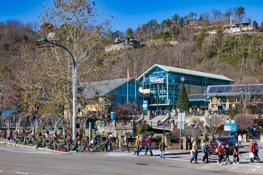 Swatting Calls Force Evacuations at Four Central U.S. Zoos and Aquariums Over Weekend